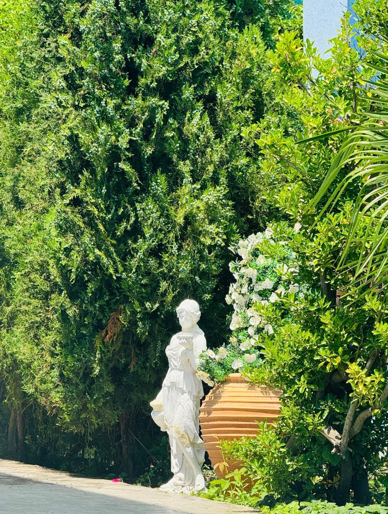 Hotel Avenue ラヴダ エクステリア 写真